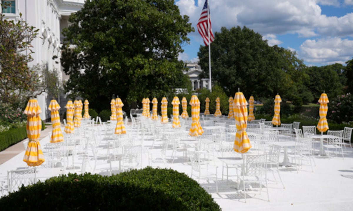 イーロン・マスクは招待されていません：ドナルド・トランプはメインテクノロジーCEOとの夕食を主催します