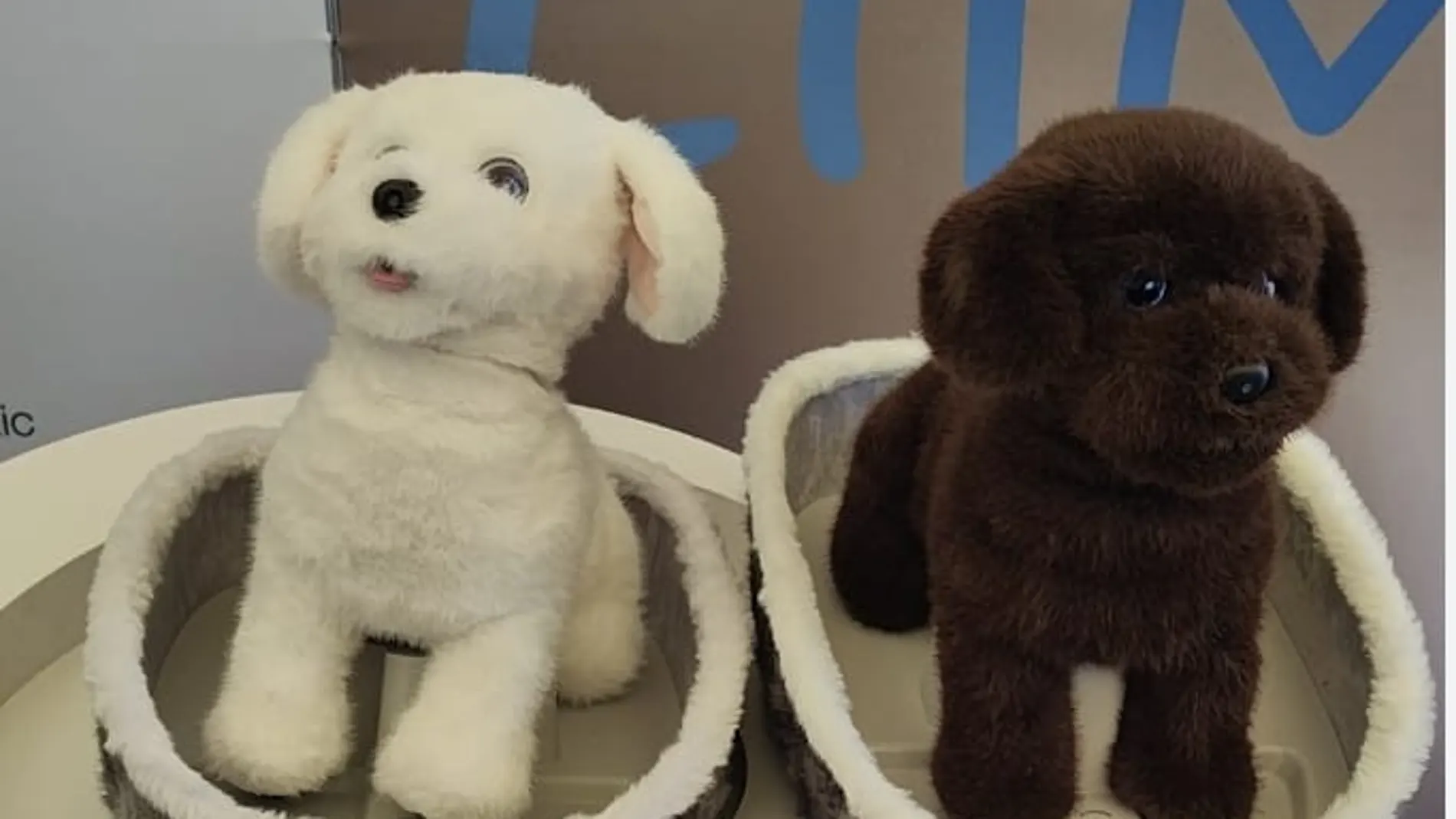 メンタルヘルスの未来を先取りするロボット、リルミロ