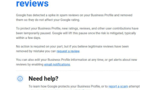 Google ビジネス プロフィールのメール: スパム レビューの急増を検出