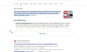 Google AI の概要、下部 (右側ではない) の引用カードを再度テスト