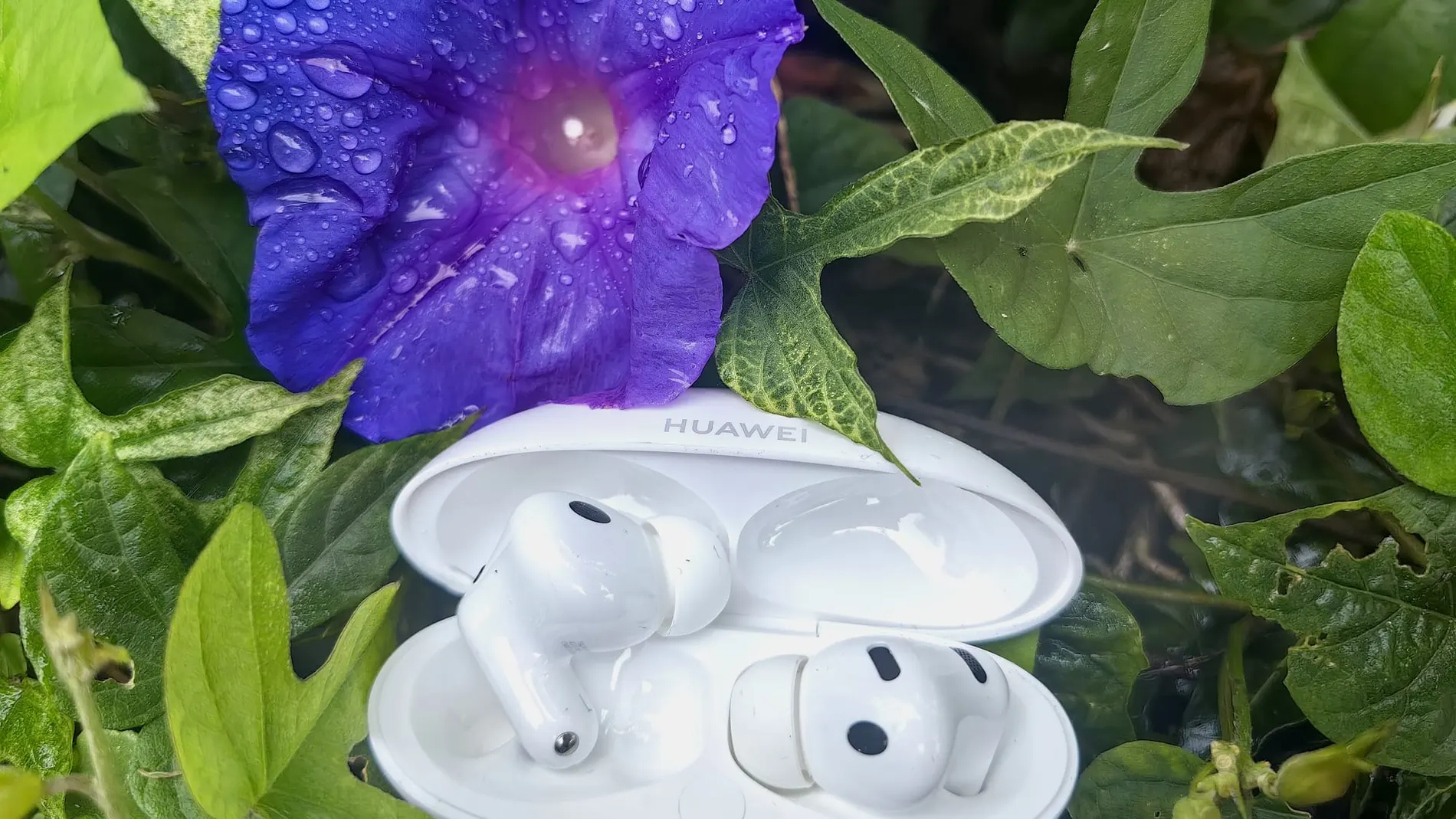 Huawei FreeBuds Neoをテストしました：本質的に主役