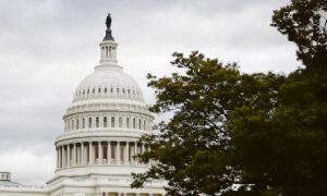 人工知能が「私たちの命をもてあそんでいる」と専門家が懸念する中、議会は慎重に進んでいる。