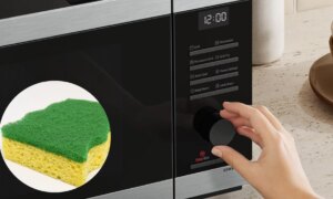 電子レンジ内にたわしを置く：その目的と一部の専門家がそれを推奨する理由