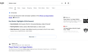Google AI の概要がチーム名簿に侵入