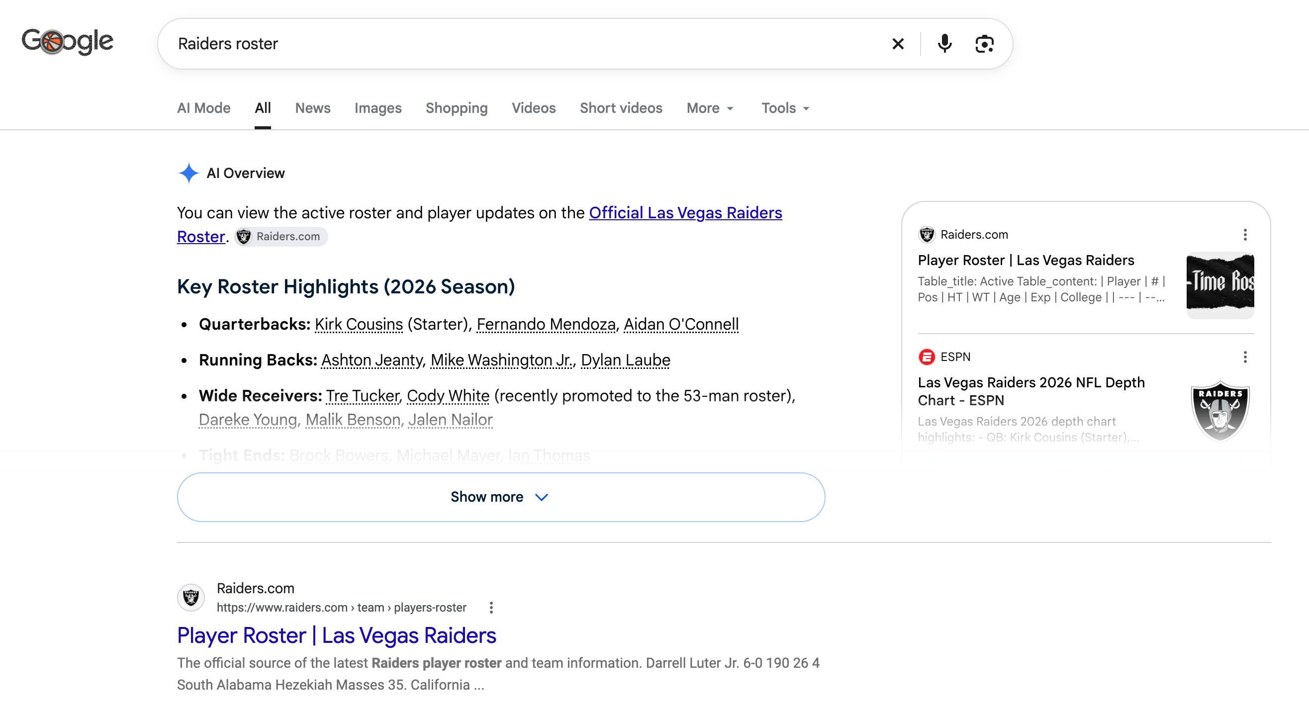レイダース名簿 Google Ai の概要