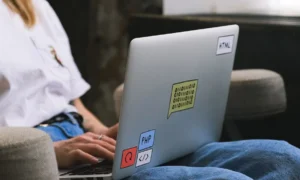 PHP とは何か、いくつかの政府が Web サイトをオフラインにした理由: 2 つの重大な欠陥のリスクとその危険性