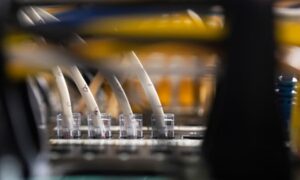 PHP 言語の脆弱性は Web サイトの最大 70% に影響を及ぼす可能性があります: 何がわかっているのでしょうか?