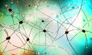 彼らは小さな脳に点字を教えています。彼らは 83% の精度で文字を識別することができます。